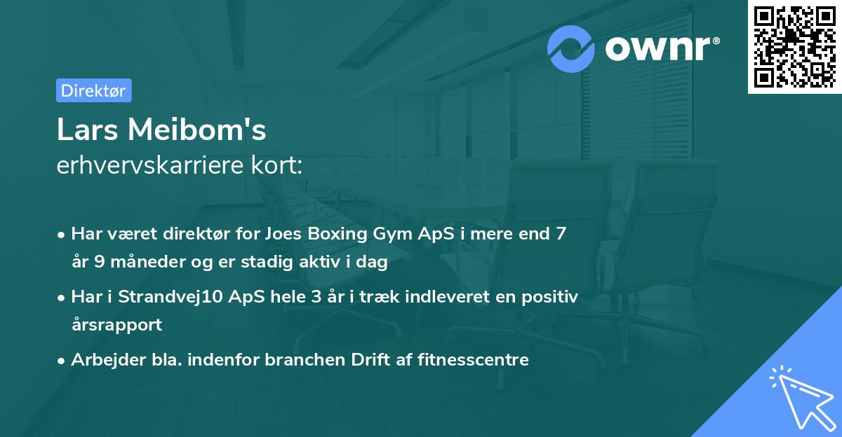 Lars Meibom's erhvervskarriere kort