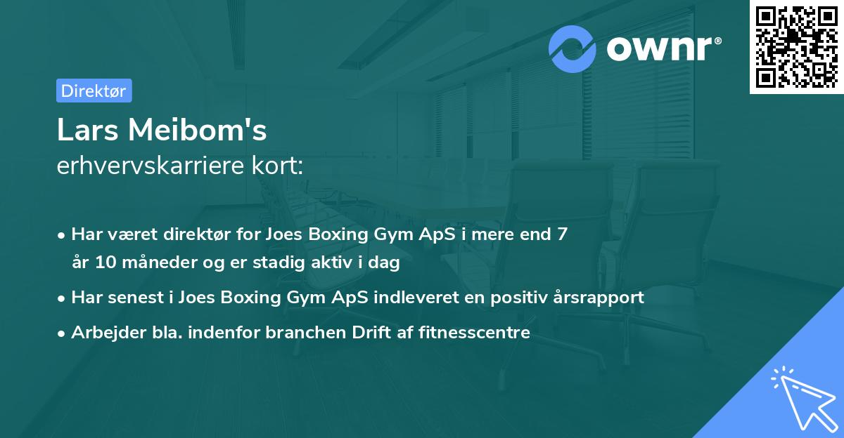 Lars Meibom's erhvervskarriere kort