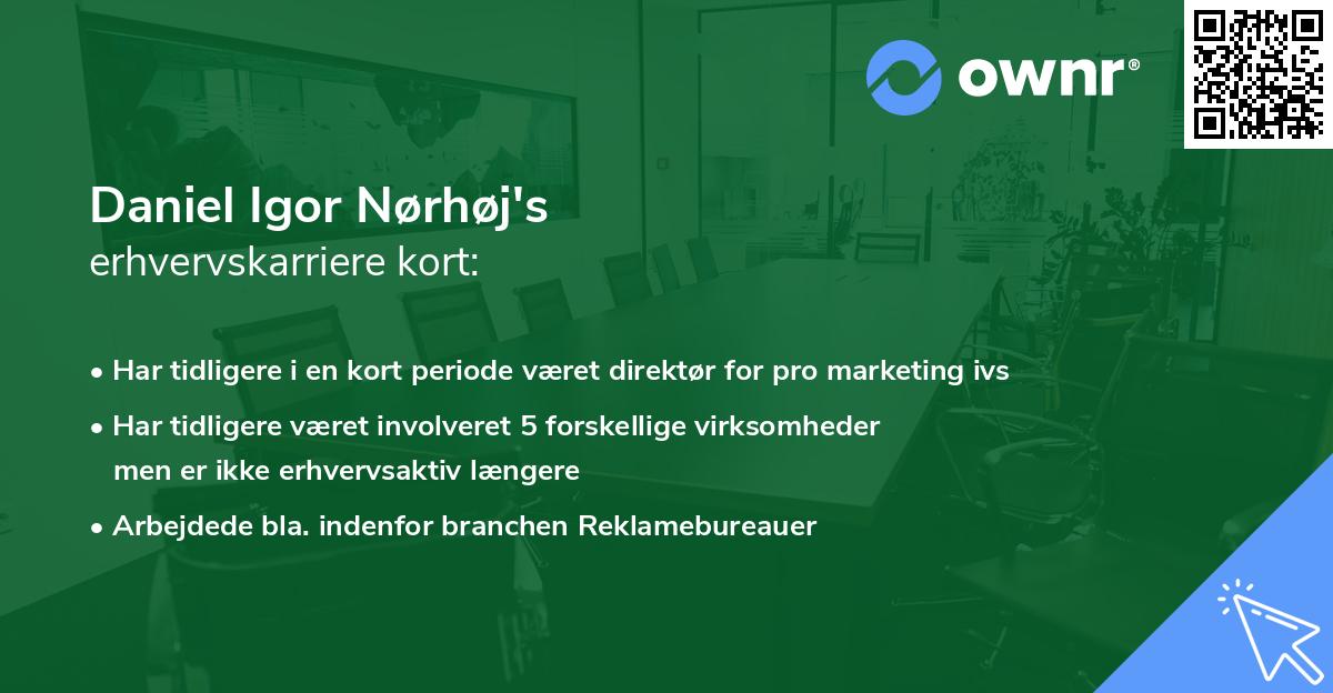 Daniel Igor Nørhøj's erhvervskarriere kort