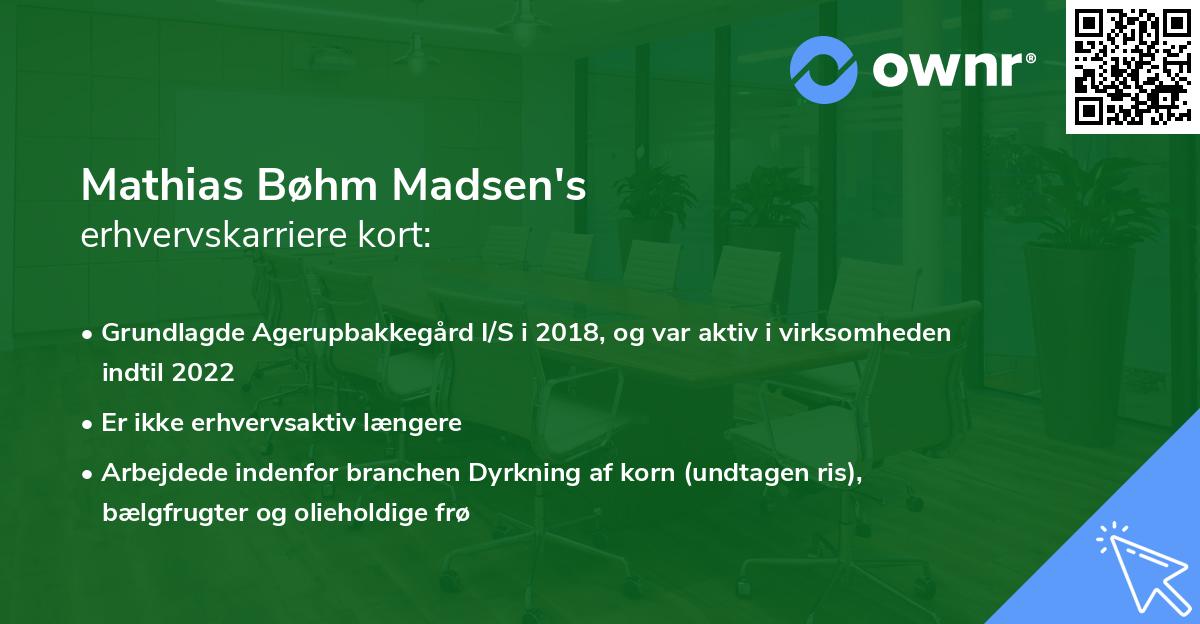 Mathias Bøhm Madsen's erhvervskarriere kort