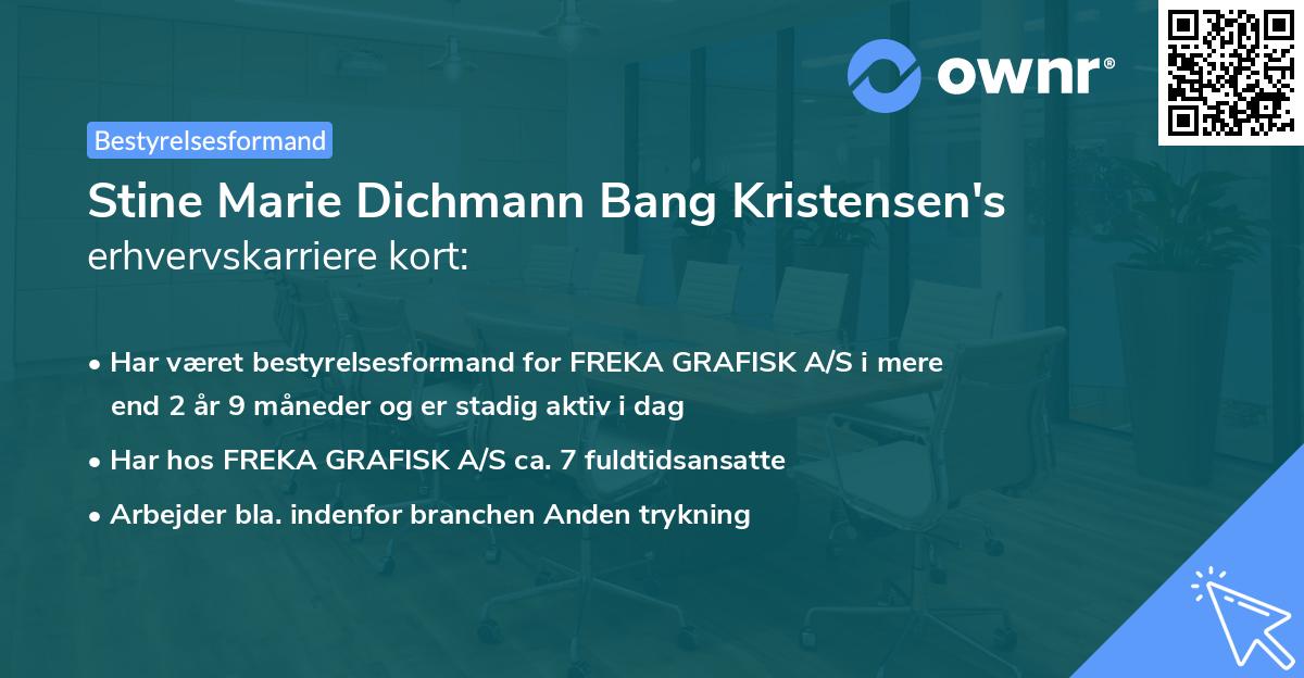 Stine Marie Dichmann Bang Kristensen's erhvervskarriere kort