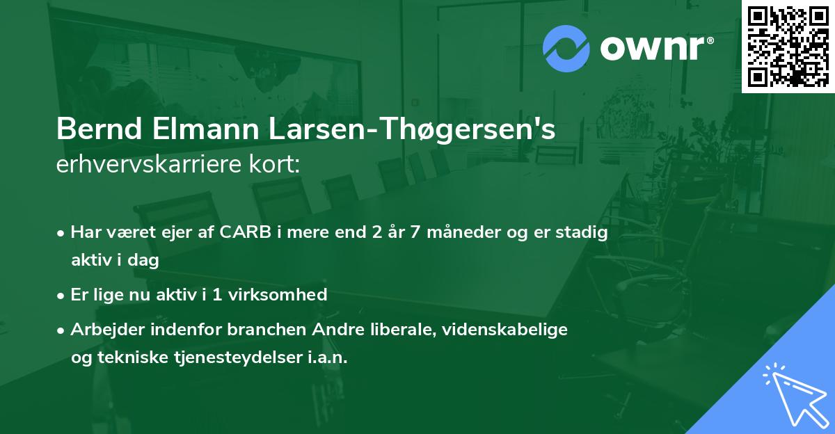Bernd Elmann Larsen-Thøgersen's erhvervskarriere kort