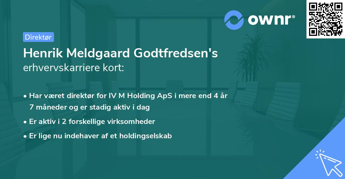 Henrik Meldgaard Godtfredsen's erhvervskarriere kort