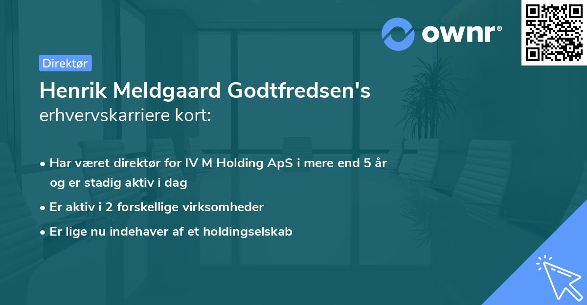 Henrik Meldgaard Godtfredsen's erhvervskarriere kort