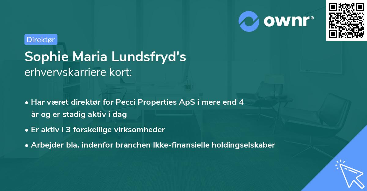 Sophie Maria Lundsfryd's erhvervskarriere kort