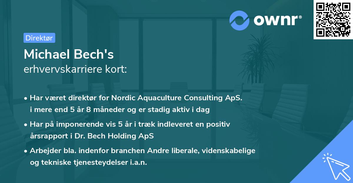 Michael Bech's erhvervskarriere kort