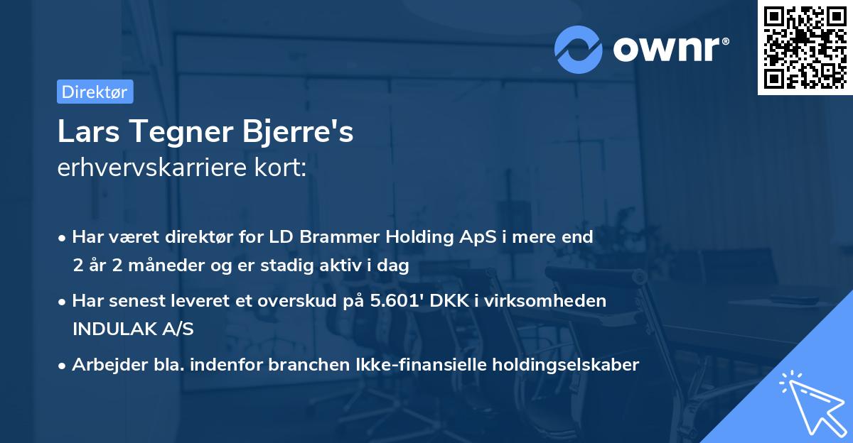 Lars Tegner Bjerre's erhvervskarriere kort