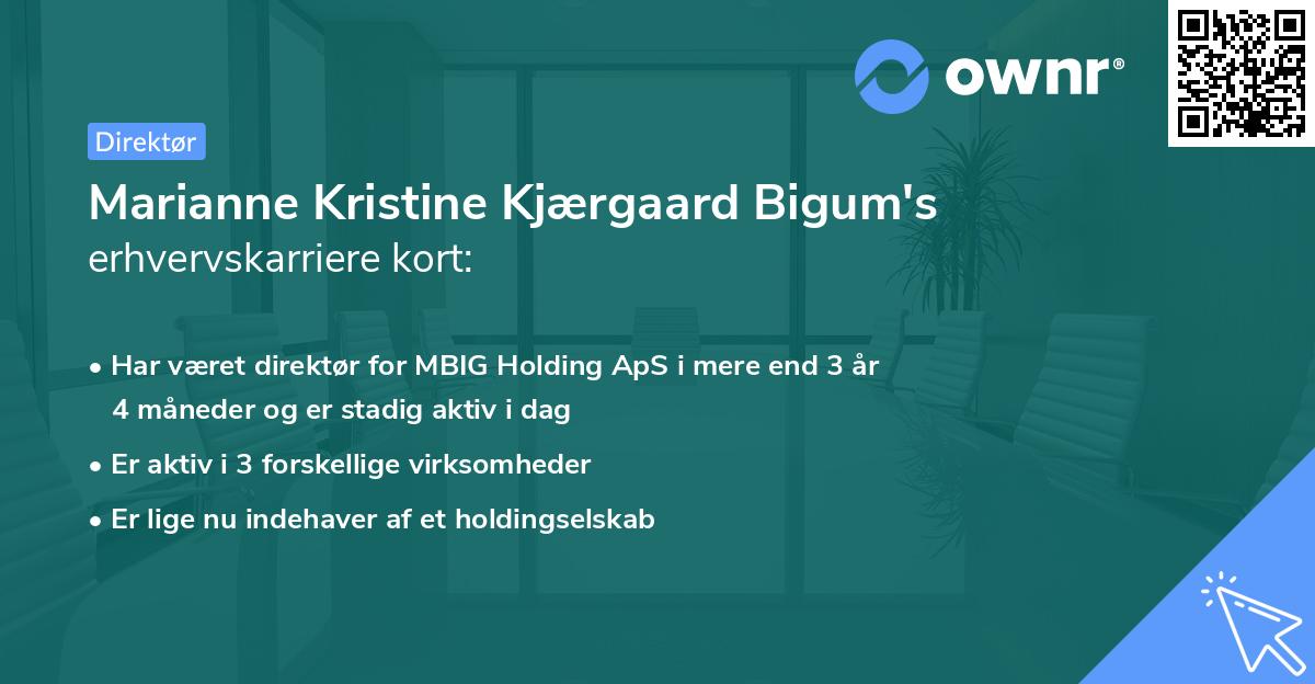 Marianne Kristine Kjærgaard Bigum's erhvervskarriere kort