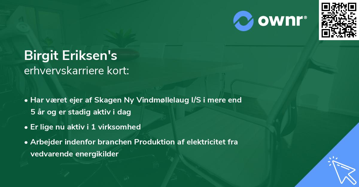 Birgit Eriksen's erhvervskarriere kort