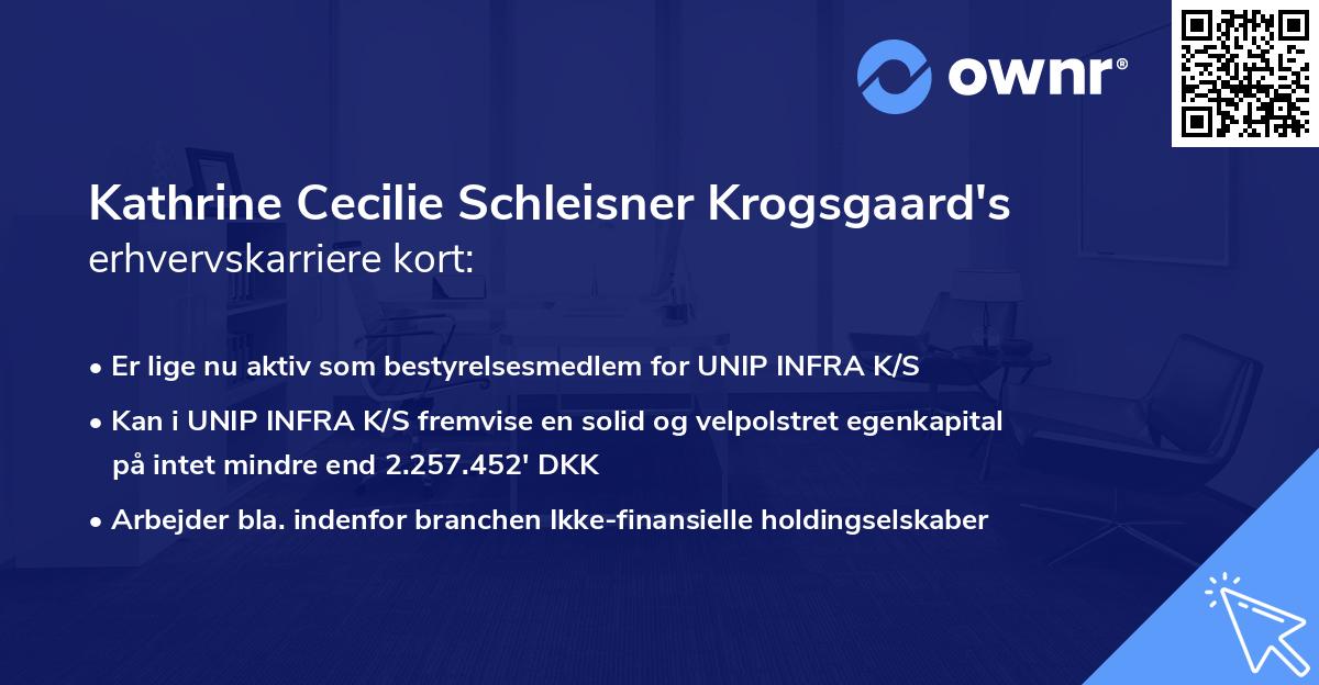 Kathrine Cecilie Schleisner Krogsgaard's erhvervskarriere kort