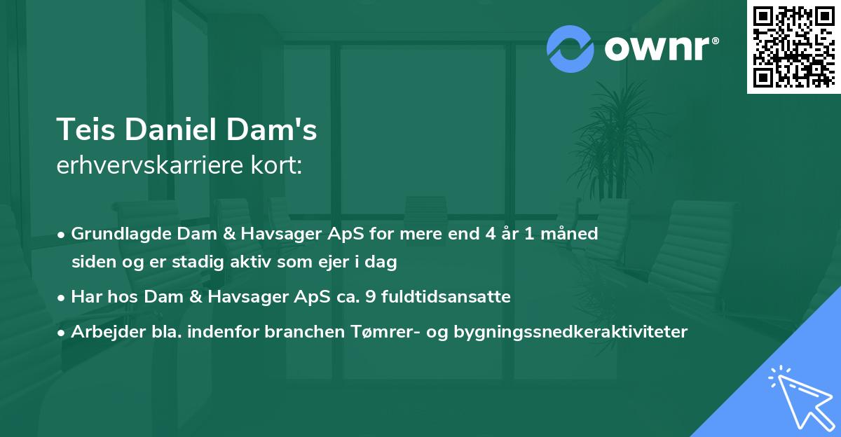 Teis Daniel Dam's erhvervskarriere kort