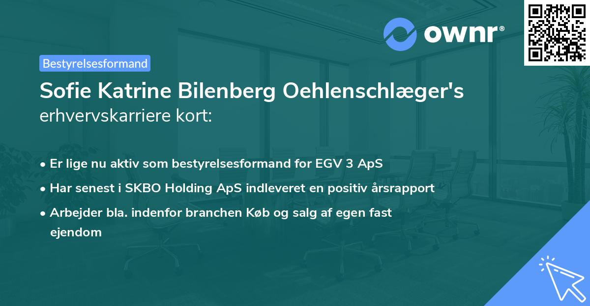 Sofie Katrine Bilenberg Oehlenschlæger's erhvervskarriere kort