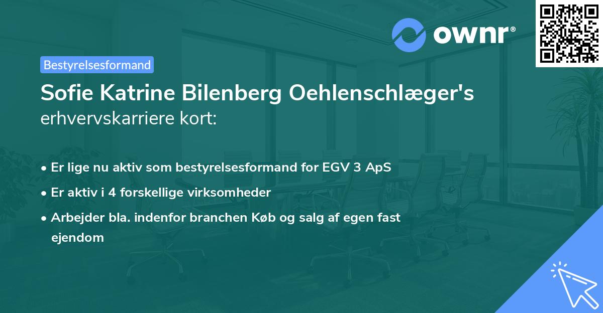 Sofie Katrine Bilenberg Oehlenschlæger's erhvervskarriere kort