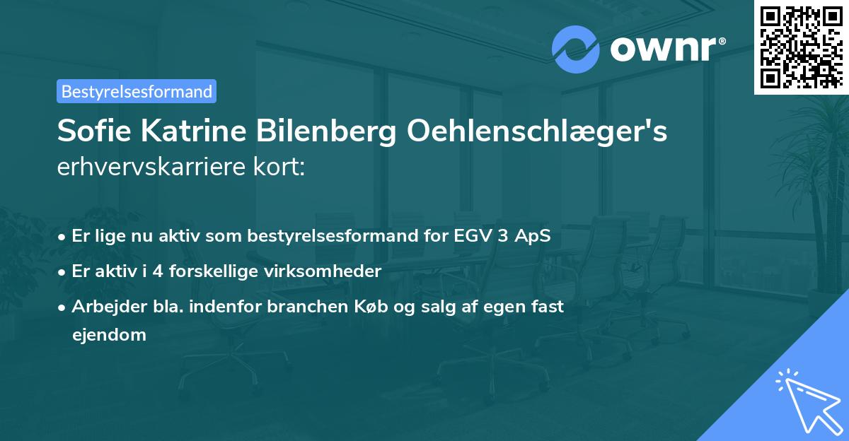 Sofie Katrine Bilenberg Oehlenschlæger's erhvervskarriere kort