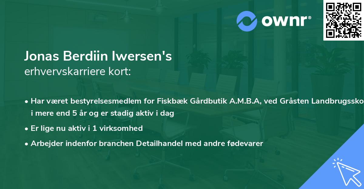 Jonas Berdiin Iwersen's erhvervskarriere kort