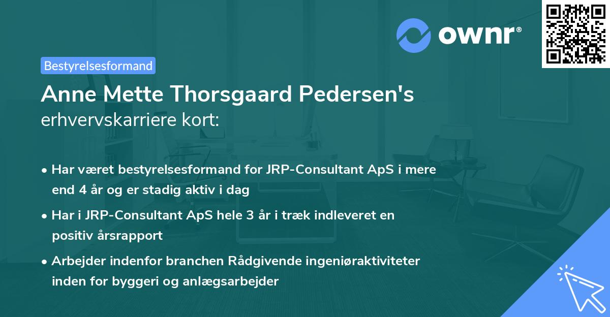 Anne Mette Thorsgaard Pedersen's erhvervskarriere kort