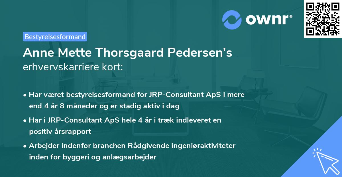 Anne Mette Thorsgaard Pedersen's erhvervskarriere kort