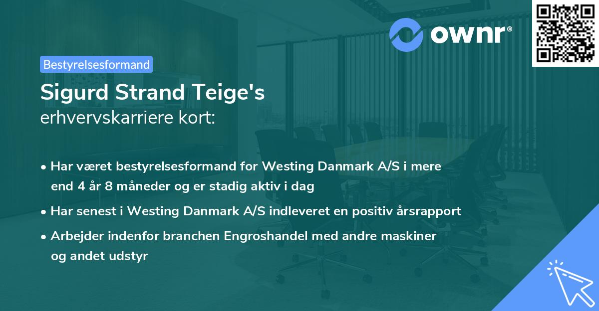 Sigurd Strand Teige's erhvervskarriere kort