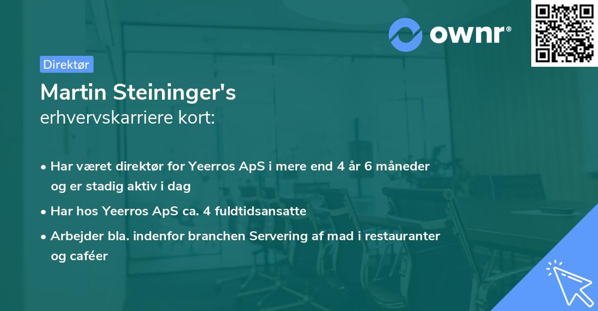 Martin Steininger's erhvervskarriere kort