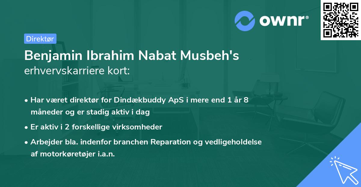 Benjamin Ibrahim Nabat Musbeh's erhvervskarriere kort