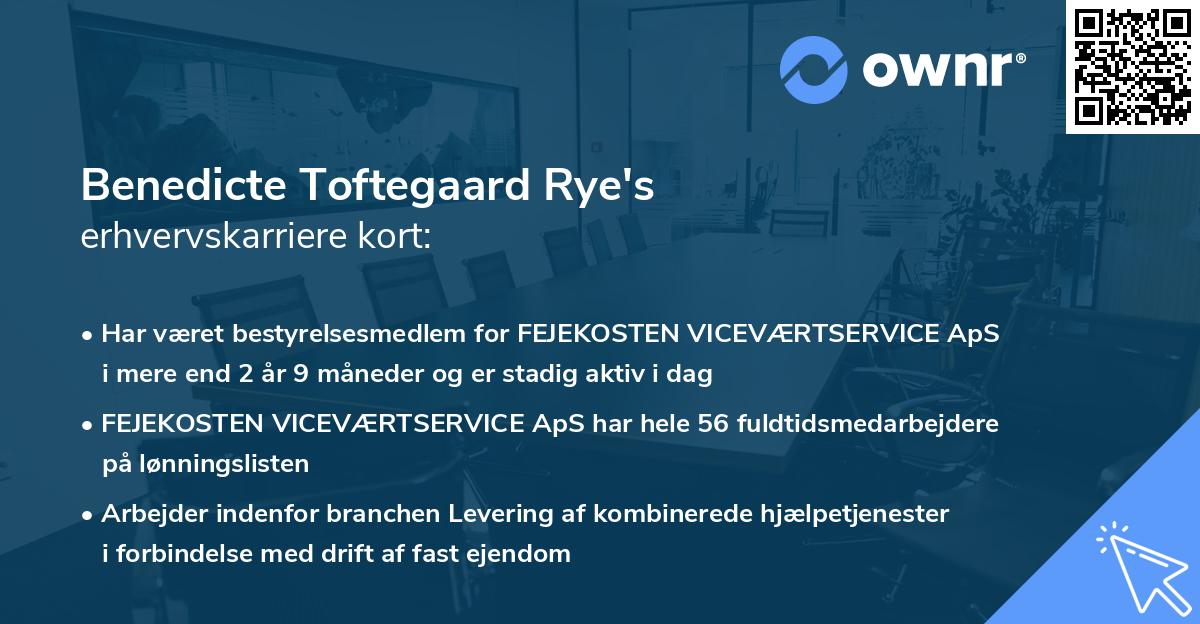 Benedicte Toftegaard Rye's erhvervskarriere kort