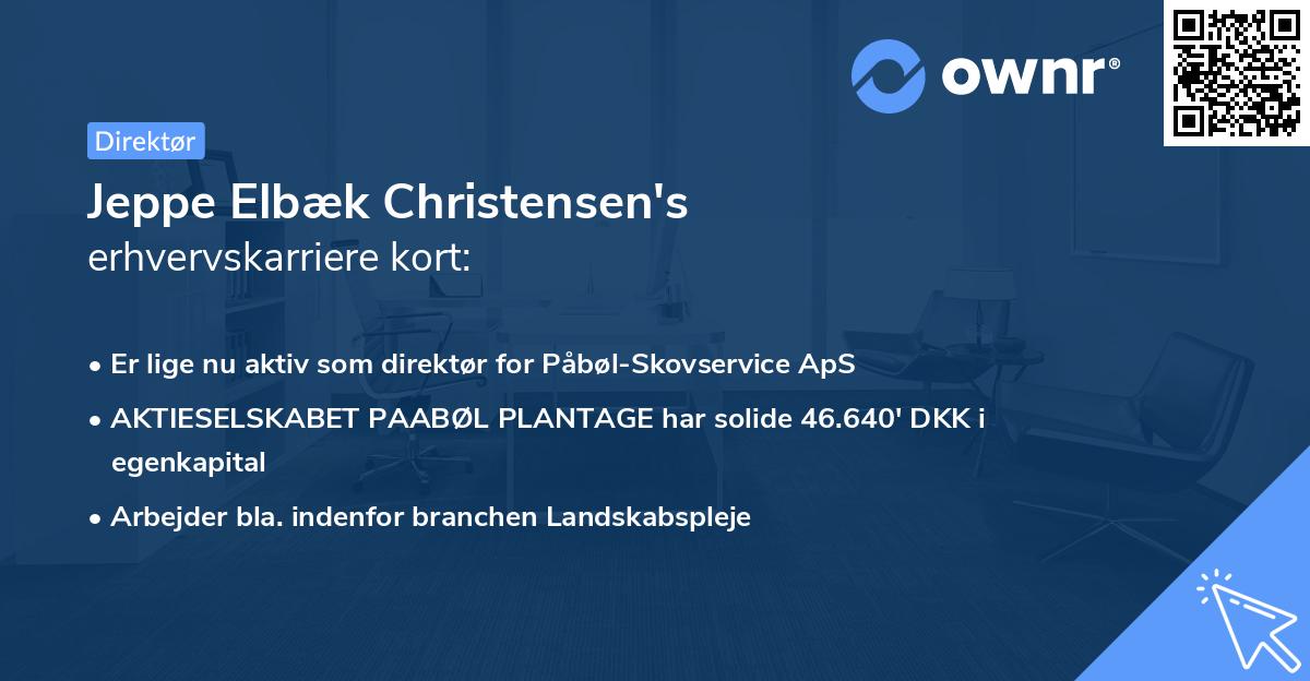 Jeppe Elbæk Christensen's erhvervskarriere kort