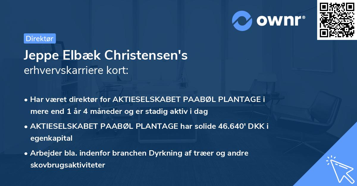 Jeppe Elbæk Christensen's erhvervskarriere kort
