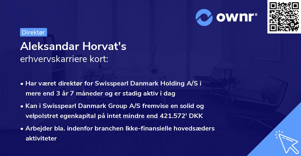 Aleksandar Horvat's erhvervskarriere kort