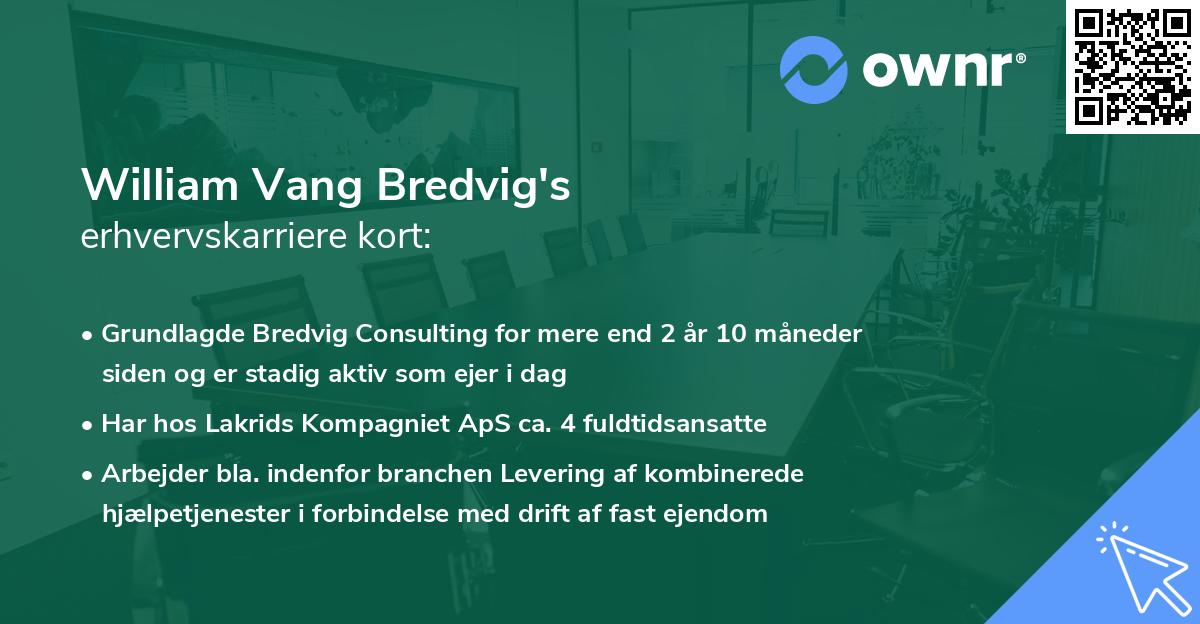 William Vang Bredvig's erhvervskarriere kort
