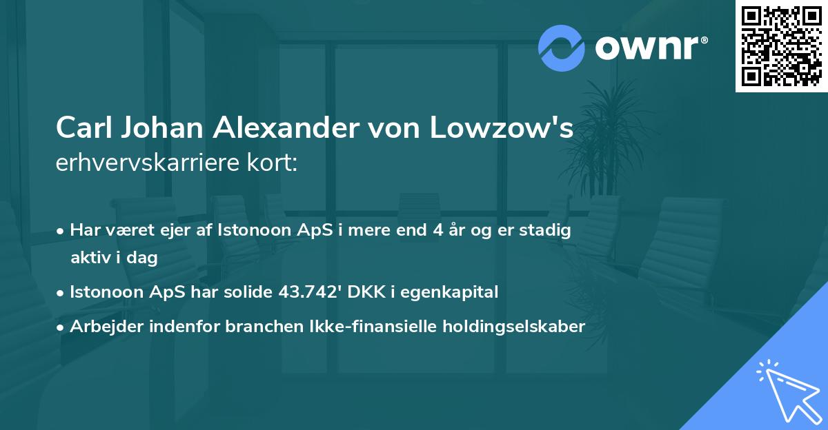 Carl Johan Alexander von Lowzow's erhvervskarriere kort