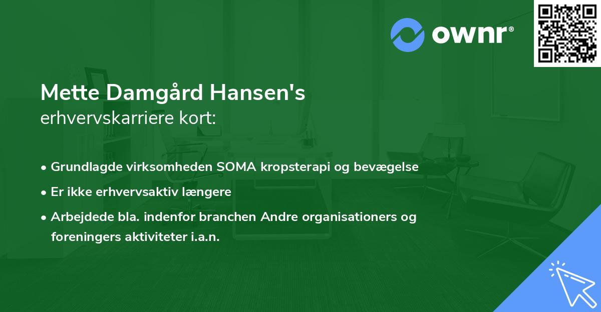 Mette Damgård Hansen's erhvervskarriere kort