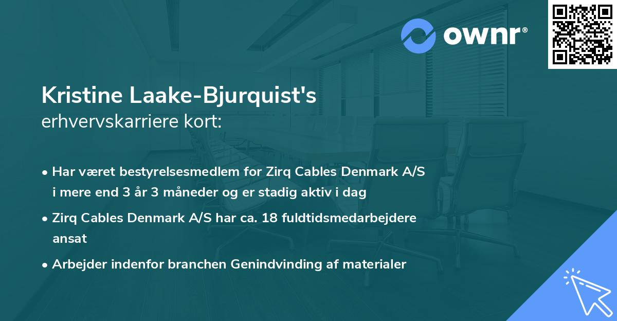 Kristine Laake-Bjurquist's erhvervskarriere kort
