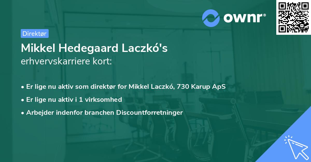 Mikkel Hedegaard Laczkó's erhvervskarriere kort