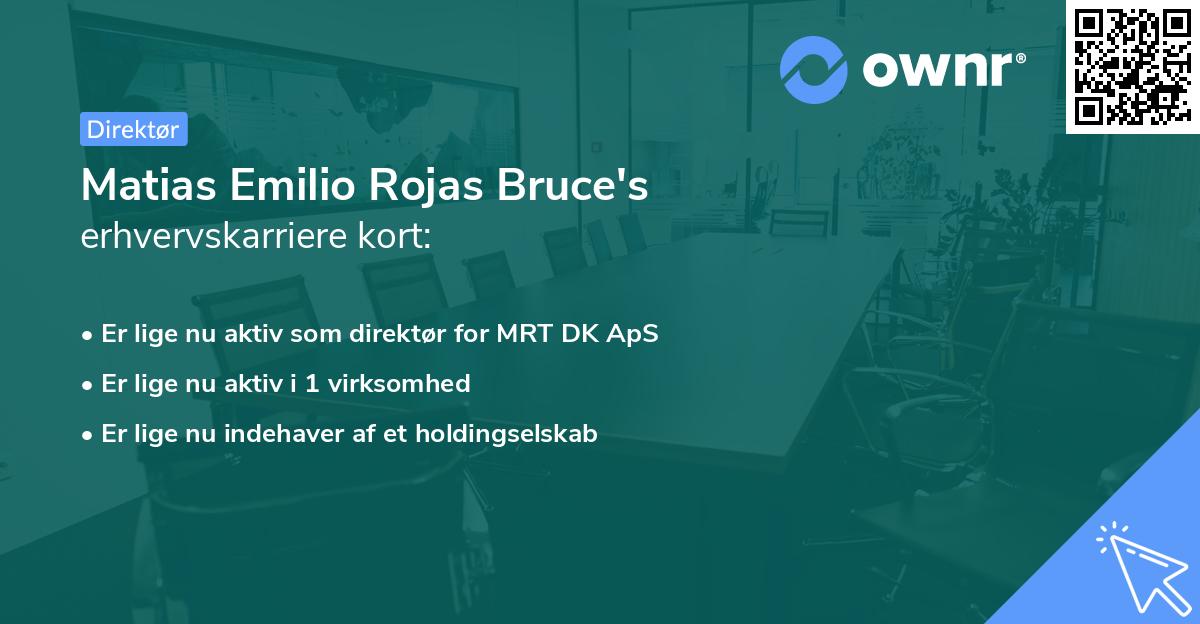 Matias Emilio Rojas Bruce's erhvervskarriere kort