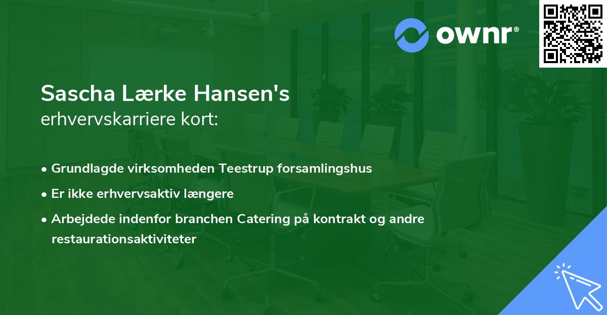 Sascha Lærke Hansen's erhvervskarriere kort