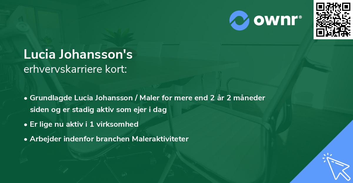 Lucia Johansson's erhvervskarriere kort