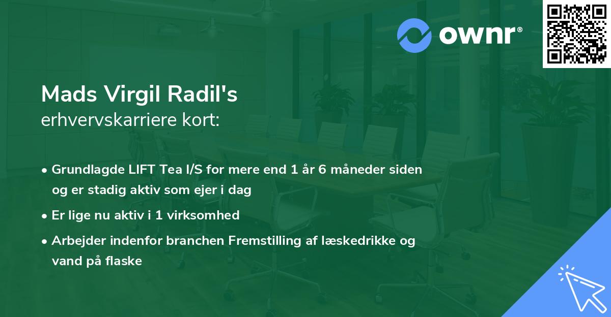 Mads Virgil Radil's erhvervskarriere kort