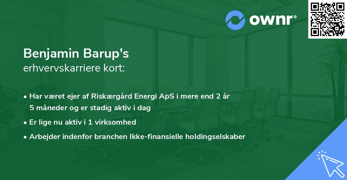 Benjamin Barup's erhvervskarriere kort