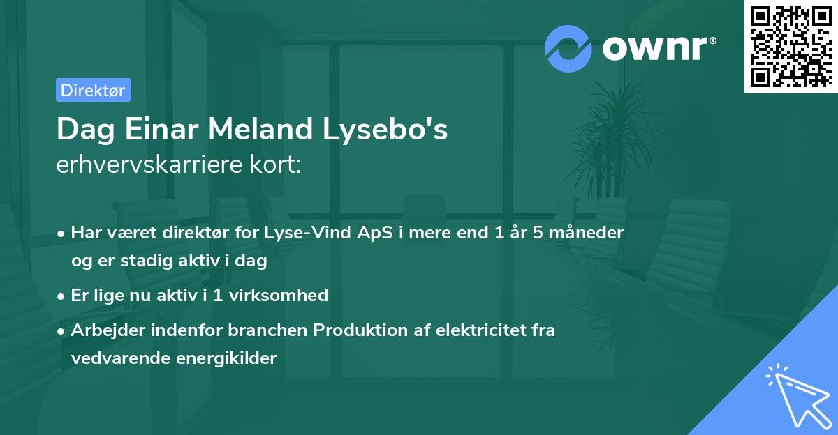 Dag Einar Meland Lysebo's erhvervskarriere kort