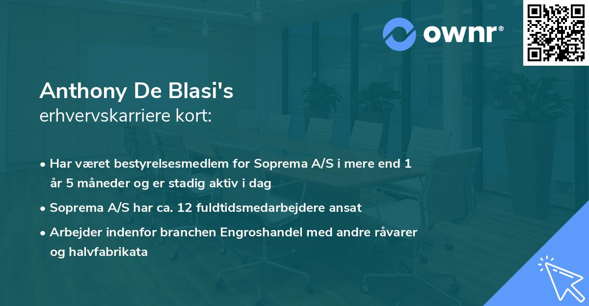 Anthony De Blasi's erhvervskarriere kort
