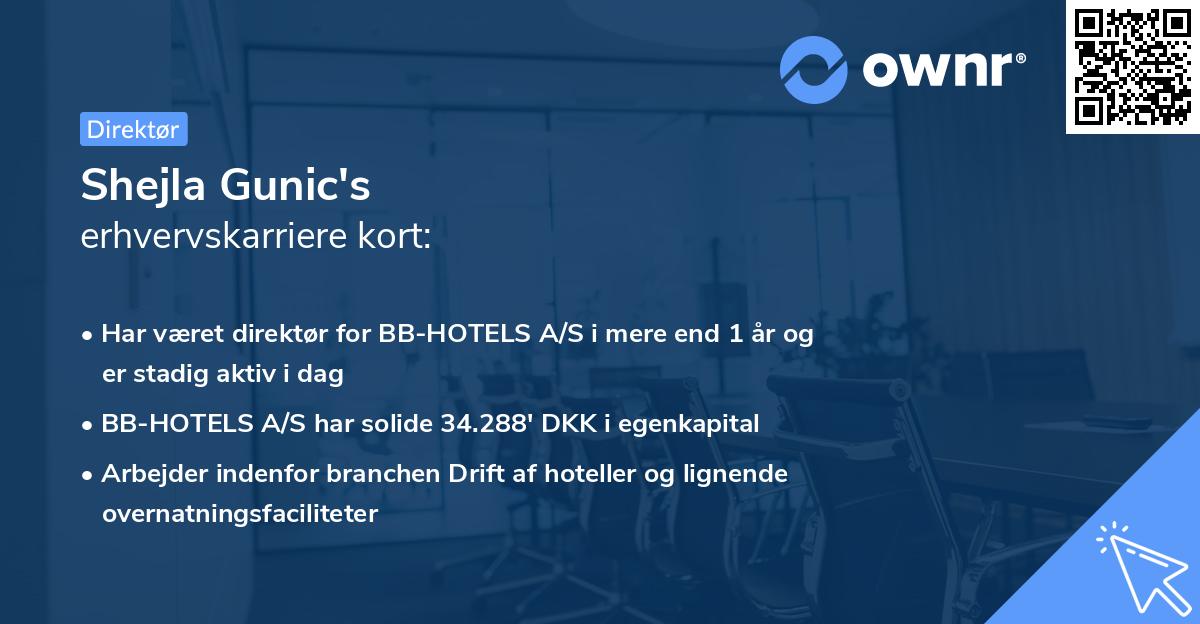 Shejla Gunic's erhvervskarriere kort