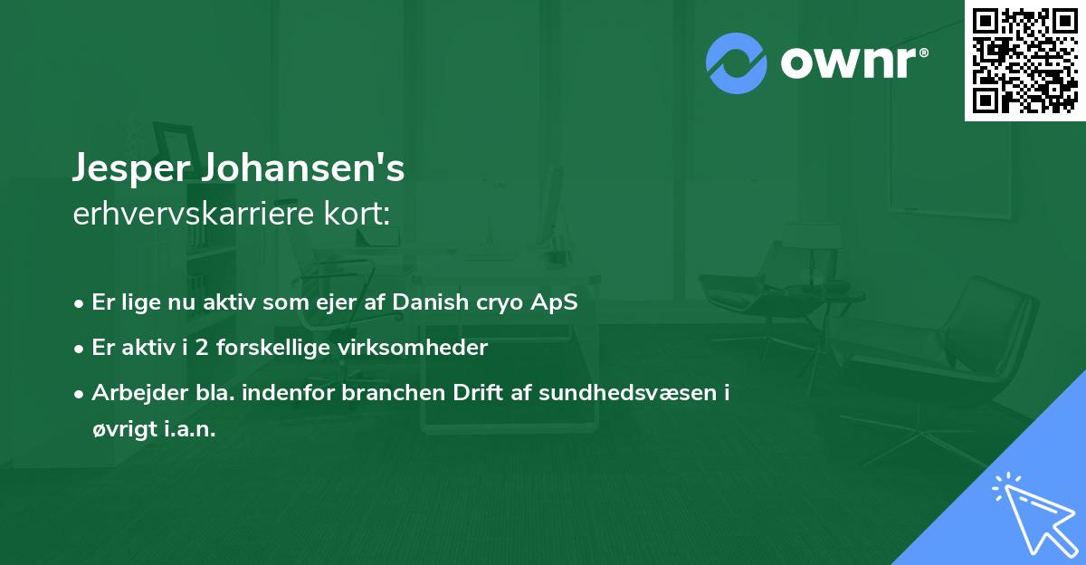 Jesper Johansen's erhvervskarriere kort