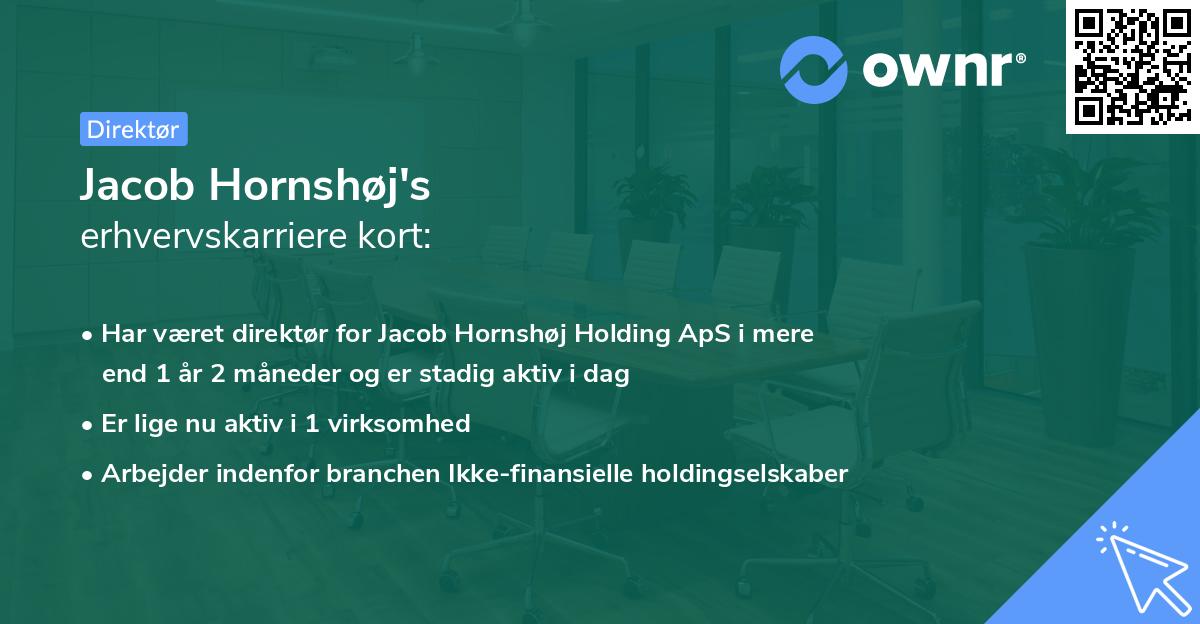 Jacob Hornshøj's erhvervskarriere kort