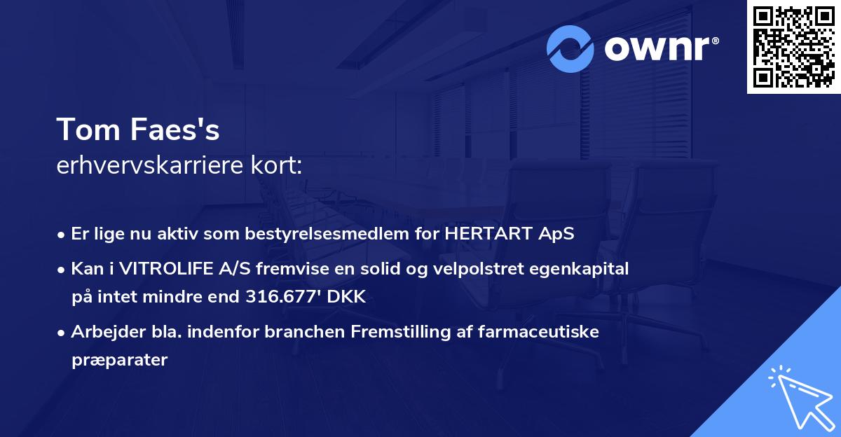 Tom Faes's erhvervskarriere kort