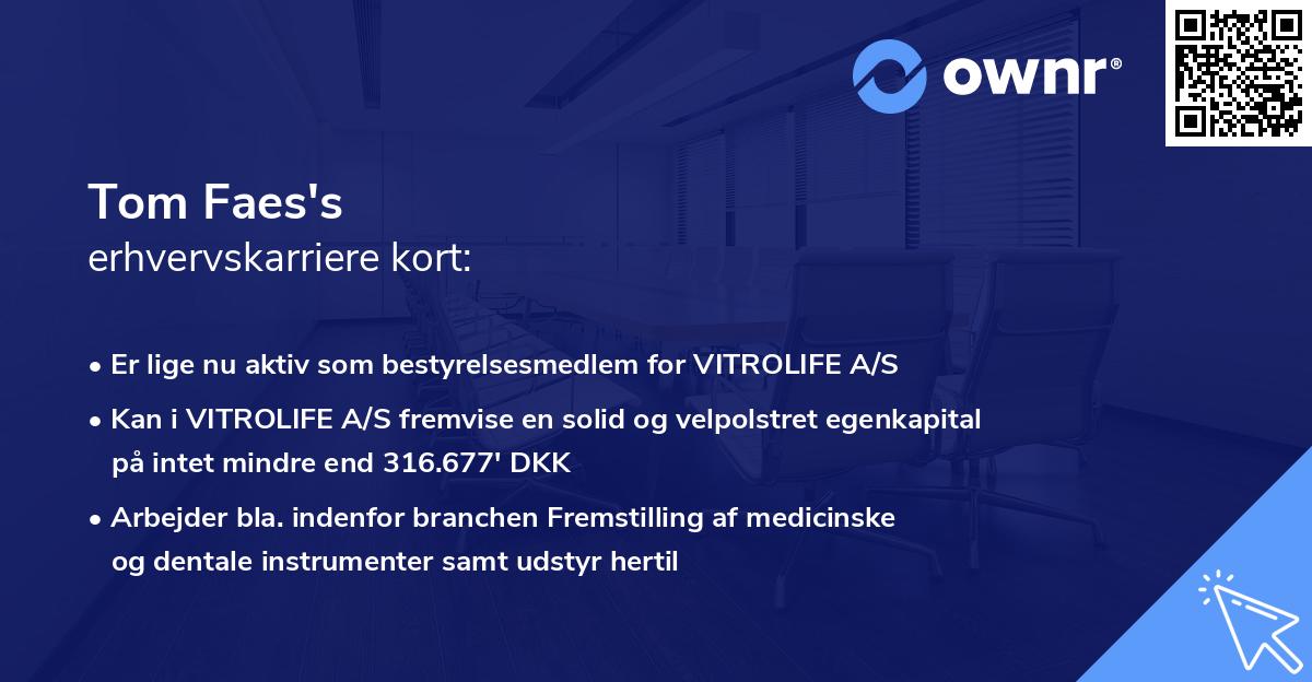 Tom Faes's erhvervskarriere kort
