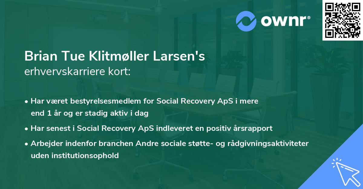 Brian Tue Klitmøller Larsen's erhvervskarriere kort