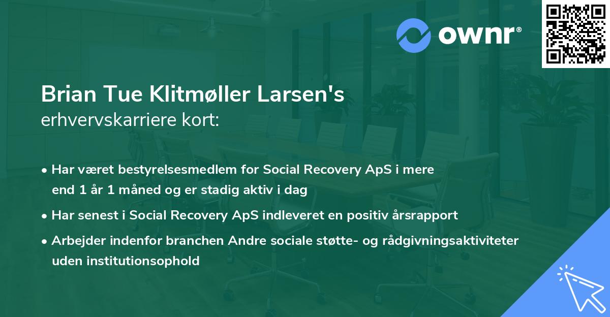Brian Tue Klitmøller Larsen's erhvervskarriere kort