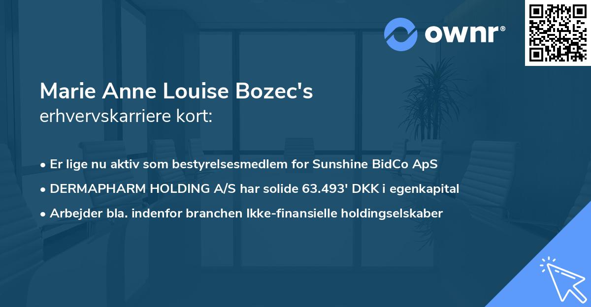 Marie Anne Louise Bozec's erhvervskarriere kort