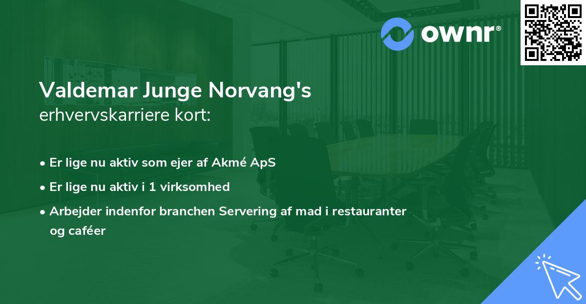 Valdemar Junge Norvang's erhvervskarriere kort