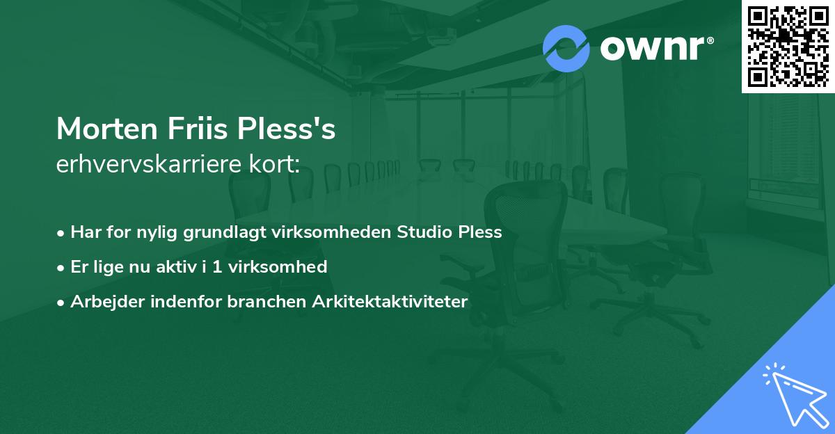 Morten Friis Pless's erhvervskarriere kort